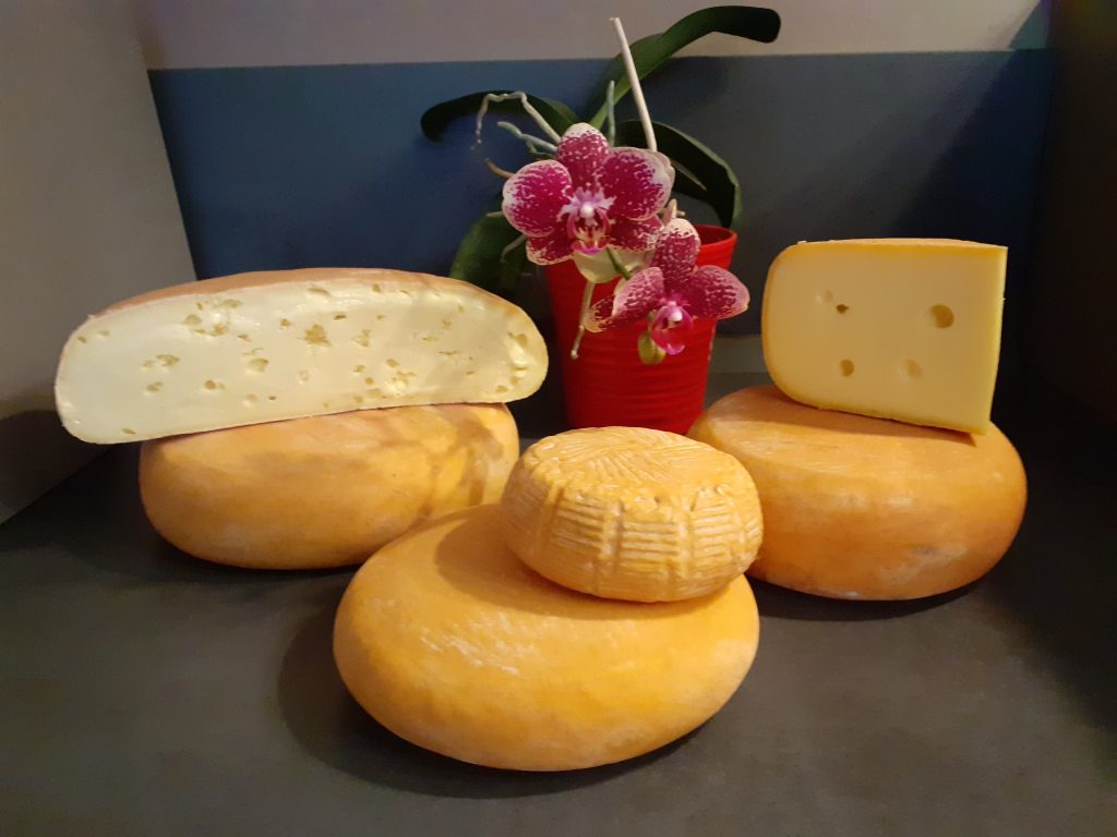 IGP
I.G.P
tomme des pyrénées
Béarn fromage 
lait cru