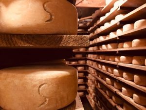 "tomme-des-pyrénées" "lait cru" "fromage" "lait cru" "béarn" "fermier" "IGP" "indication géographique protégée"